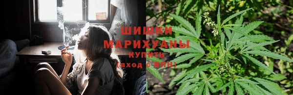 а пвп мука Алзамай