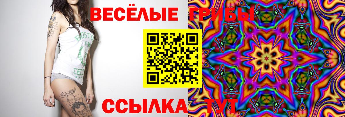 Энгельс  Галлюциногенные грибы Cubensis  Вход с VPN 